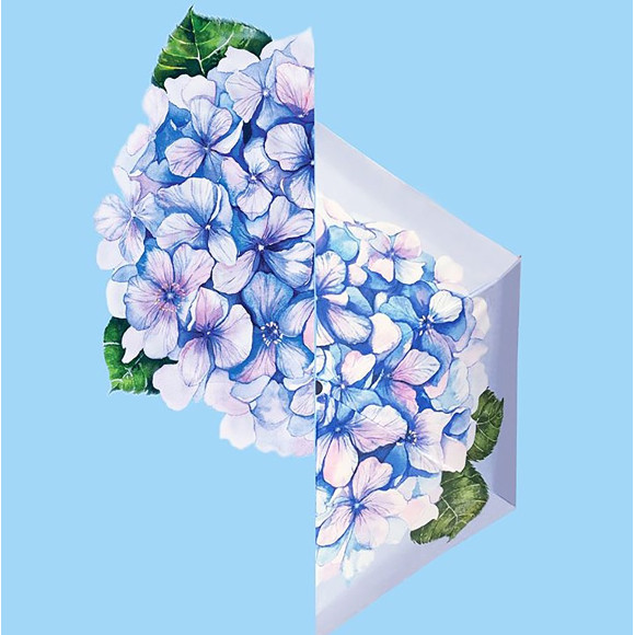 Hydrangea Umbrella