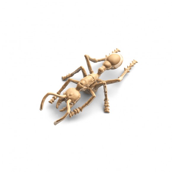Ant Pin (Brass)