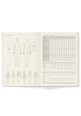 SFT x FASHIONARY A5 Notebook (Mini-fashion Dictionary + Figure Templates)