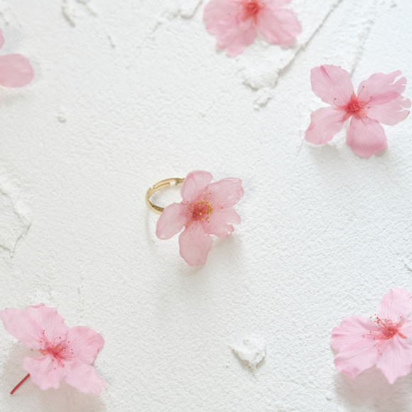 Preserved Japanese Sakura accessories (Earrings/Ring)