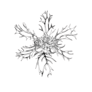 (NEW) Vanda Miss Joaqium ring