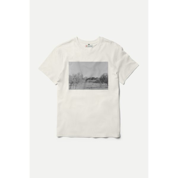 Olive Grove T-shirt (Unisex)