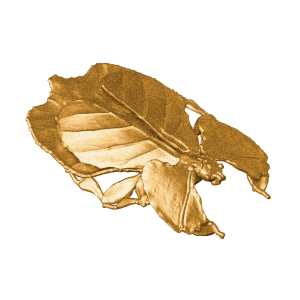 Leaf Insect Pin (Autumn Leaf)